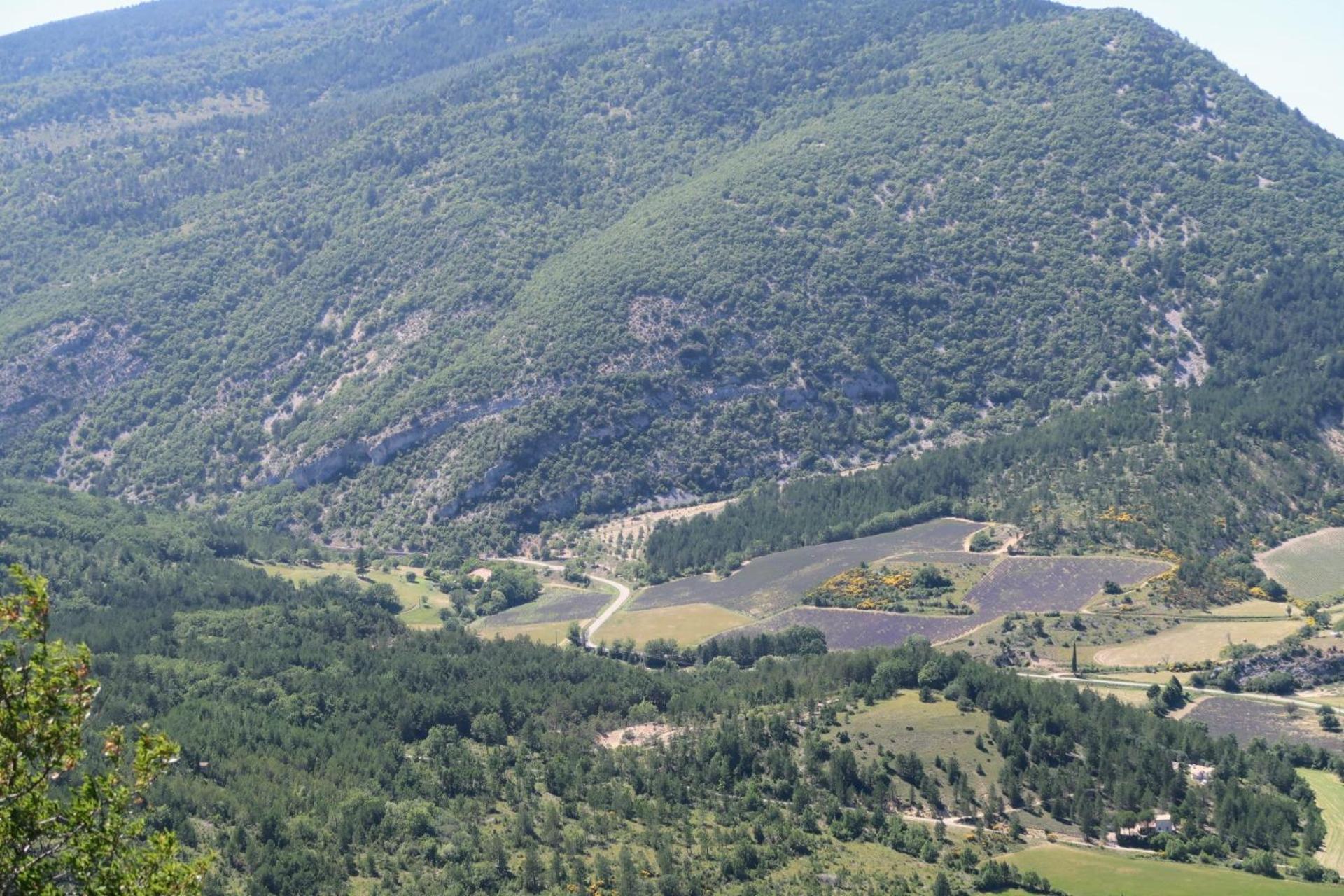 La Terrasse D'Olea, Au Coeur Du Village Buis-les-Baronnies Exterior foto